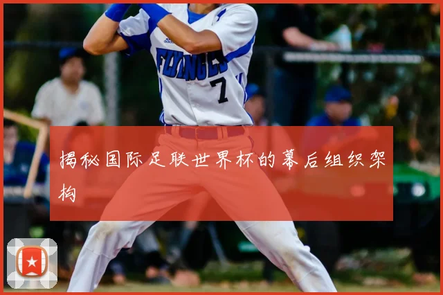揭秘国际足联世界杯的幕后组织架构